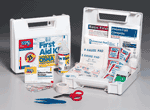 25 Person, Bulk ANSI First Aid Kit, plastic case