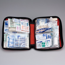 Small, all purpose softsided first aid kit