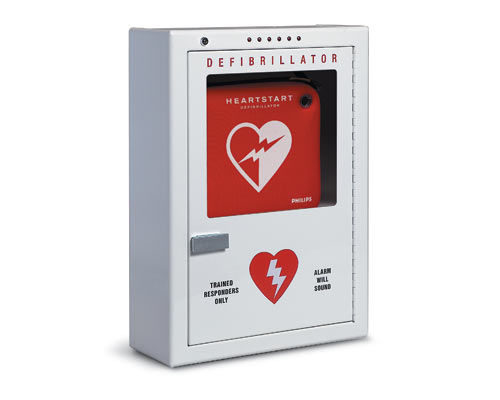 Defibrillator Cabinet, Wall Surface