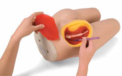 Life/form Intramuscular Injection Simulator