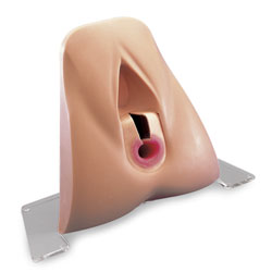 Anal Sphincter Trainer