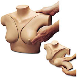 Nasco Breast Self-Examination Simulator