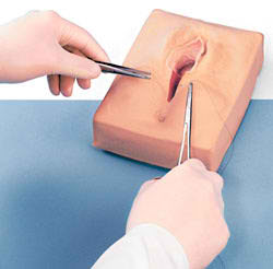 Life/form® Midline Episiotomy Suturing Simulator