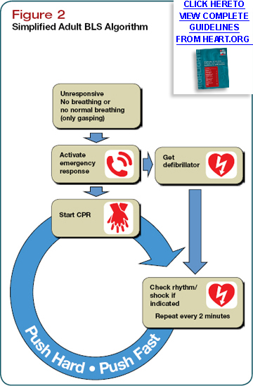 Simplified Adult BLS Algorithm